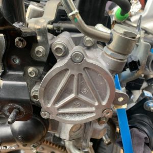 Vacuum/Air Pump