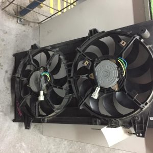 Fan