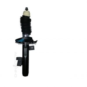 Left Front Strut