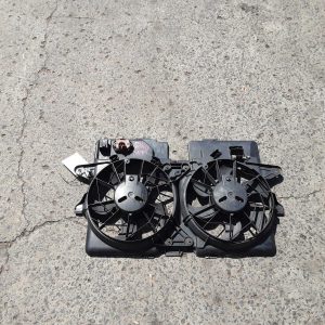 Fan