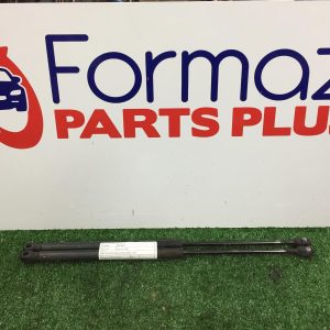 Hatch Strut