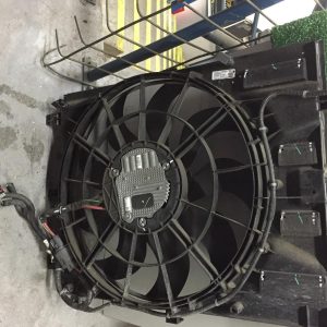 Fan