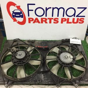 Fan