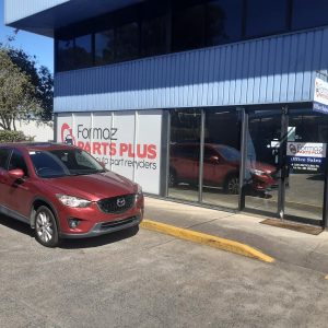 Bonnet Hinge/Strut
