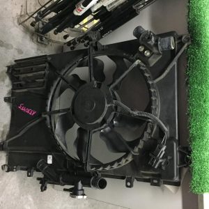 Fan