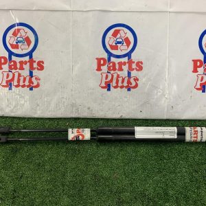 Hatch Strut