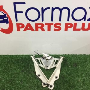 Bonnet Hinge/Strut