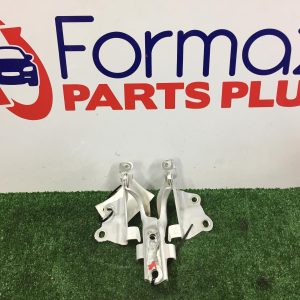 Bonnet Hinge/Strut